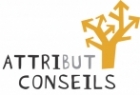 bilan-de-competences-attribut-conseils-ris-orangis-91-4049.png