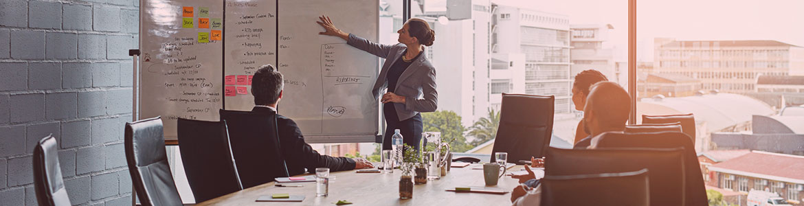 Bilan de Compétences et Plan de formation