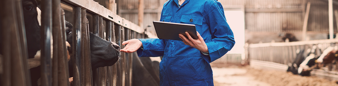 Se reconvertir professionnellement pour devenir soigneur animalier