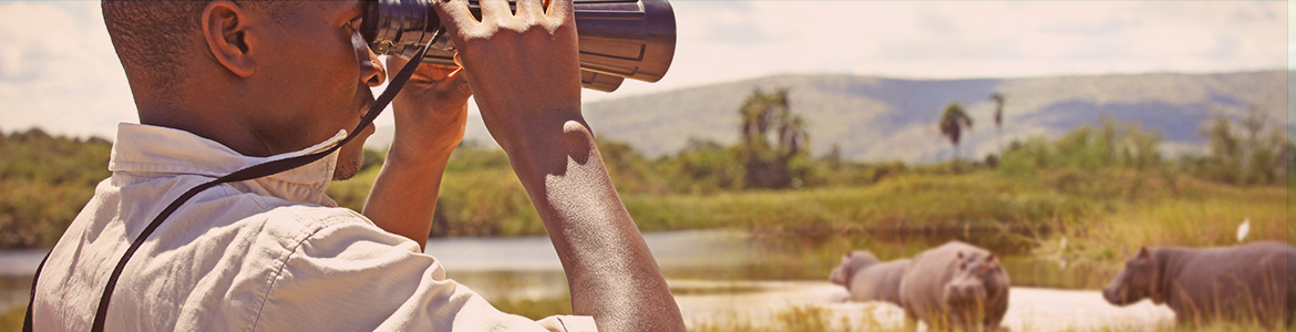 Devenir guide touristique